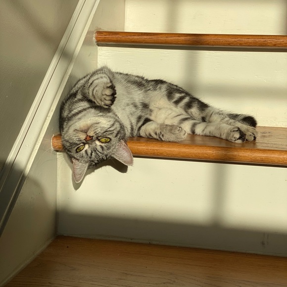 BUY MY TRASH! - Picture 15 of 16